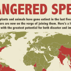 3 Infographics: Endangered Species Edition