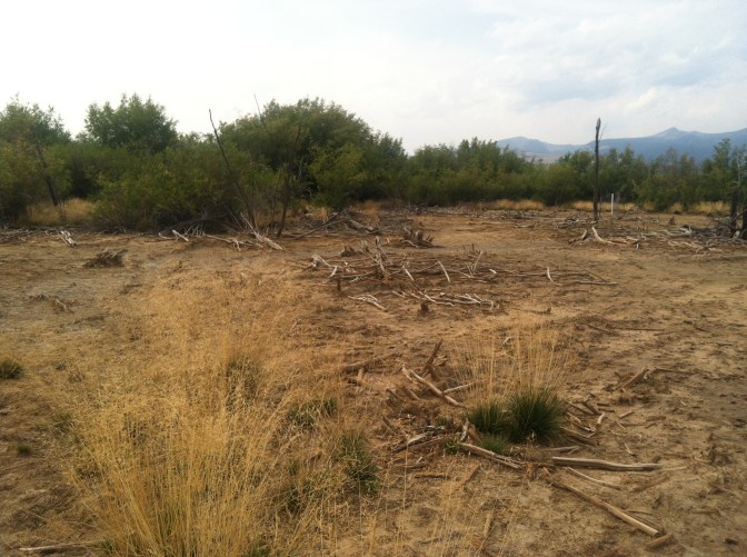 A slickens near the Clark Fork River at the Dry Cottonwood Creek Ranch