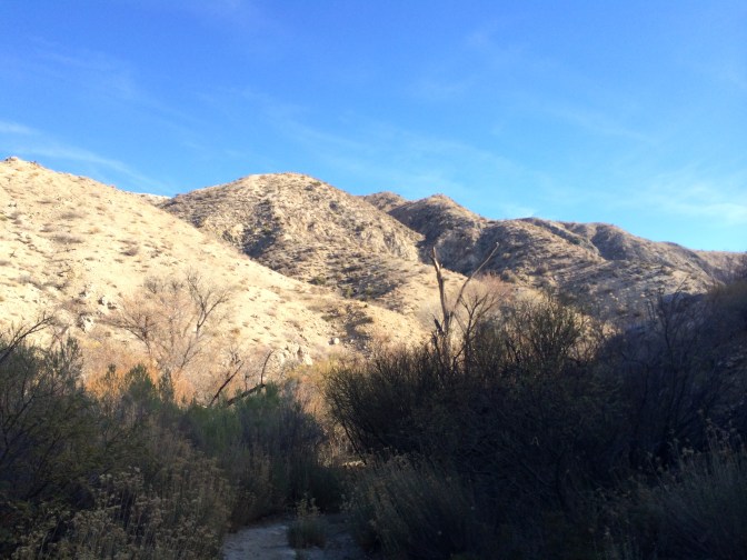 Big Morongo Canyon Preserve