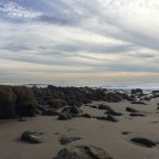 Ocean Degradation Awareness: BuzzFeed