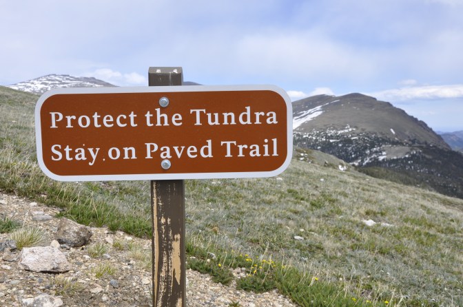 "Protect the Tundra" sign 