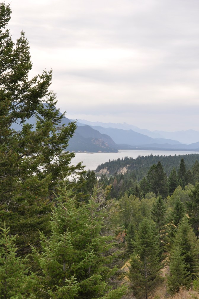 Overlook Point along Highway 93
