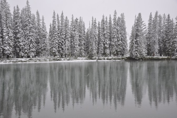 Bow River in Banff