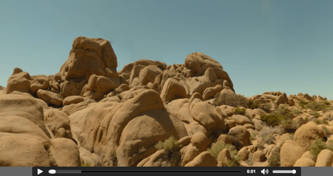 Screenshot from the Joshua Tree visualization