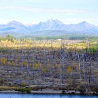 What’s at Stake for the World: Infographics