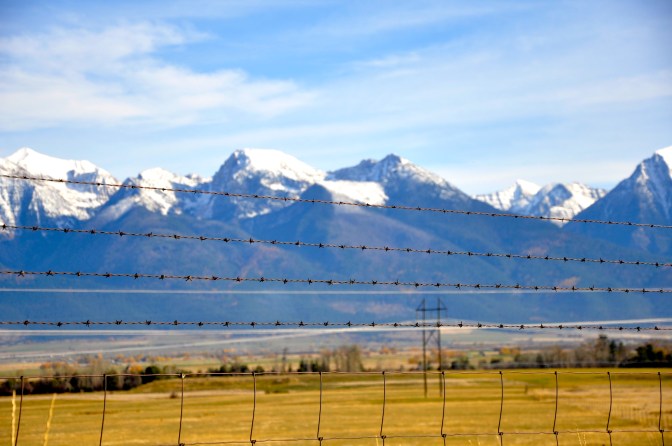 Mission Mountains from inside the refuge