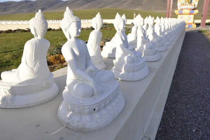 We ended the day at the Garden of 1000 Buddhas!