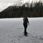 National Parks See Record Visitation Numbers.. But Why?