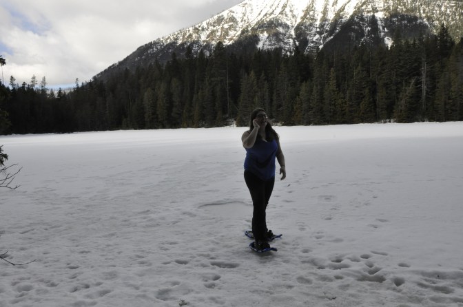 19252691510_b09339fe38_o