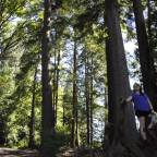 Do “environmentally responsible” products help the planet? Or do they just get us to buy more stuff?