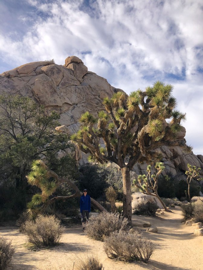 joshuatree2