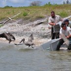 Ten years since Deepwater Horizon